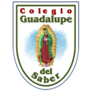 Guadalupe del Saber Web APK