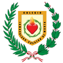 Inmaculado Corazón de María Web APK