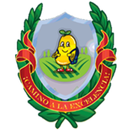 Semillitas del Pedregal Web APK