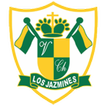 Colegio Virgen de Chapi Web