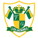 Colegio Virgen de Chapi Web APK