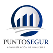 Puntosegur icon