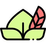 Peter Pan Audio Book icon