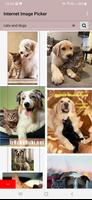 Internet Image Picker screenshot 1