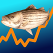 Bite Tracker Fishing Reports