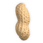 ikon Peanut