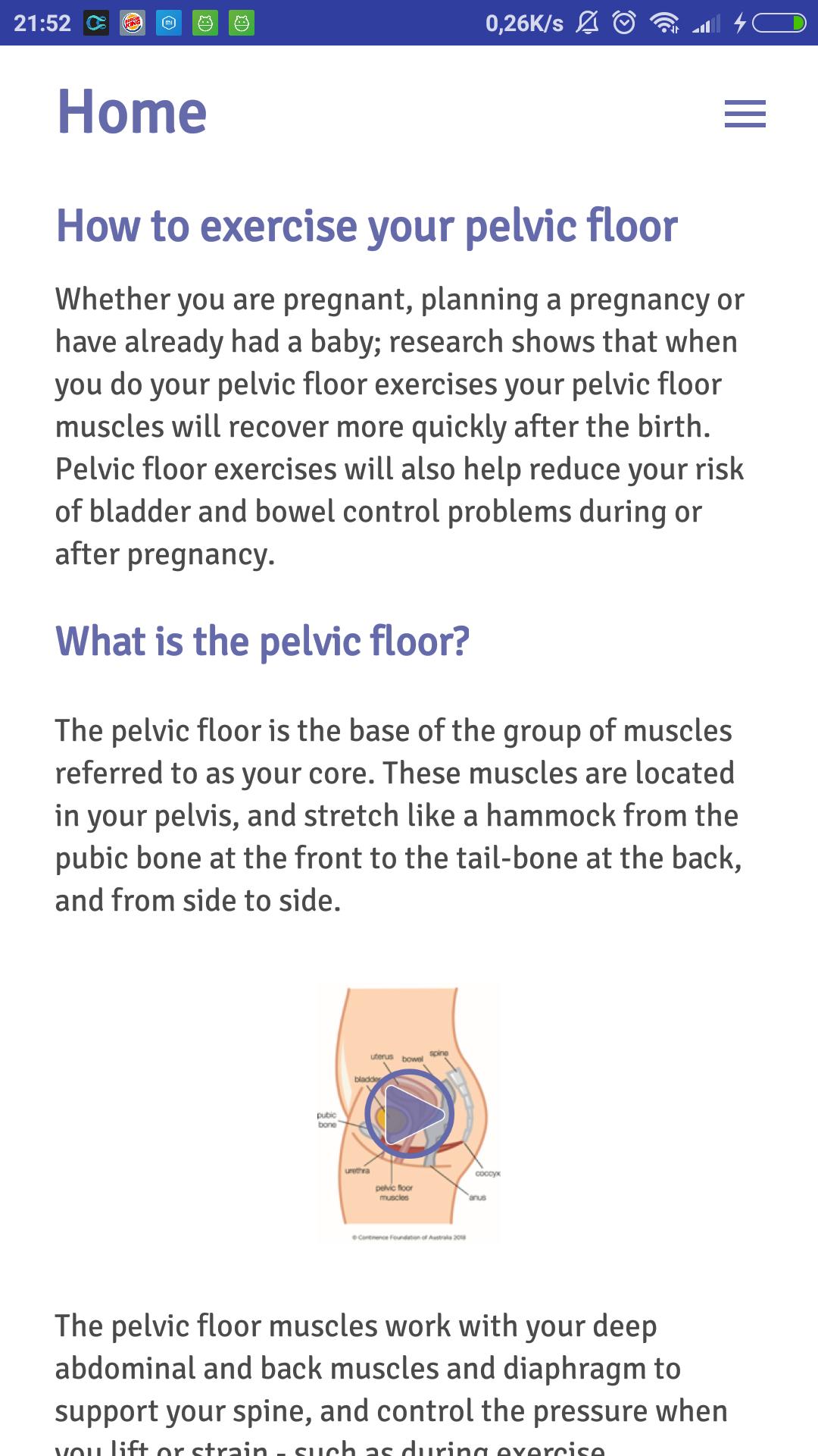 Pregnancy Pelvic Floor Plan For Android Apk Download