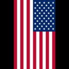 USA Flag Live Wallpaper icône