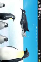Penguin Live Wallpaper Ekran Görüntüsü 3