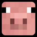 Peppa Pig House Minecraft Game APK