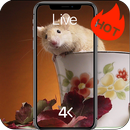 Mouse Live Wallpaper 4K APK