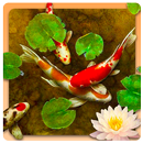 le papier peint vivant de poissons koi 4k APK