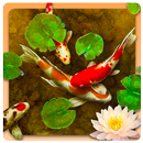 Koi Fish Live Wallpaper 4K APK