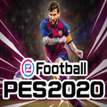 PES Guide 2020