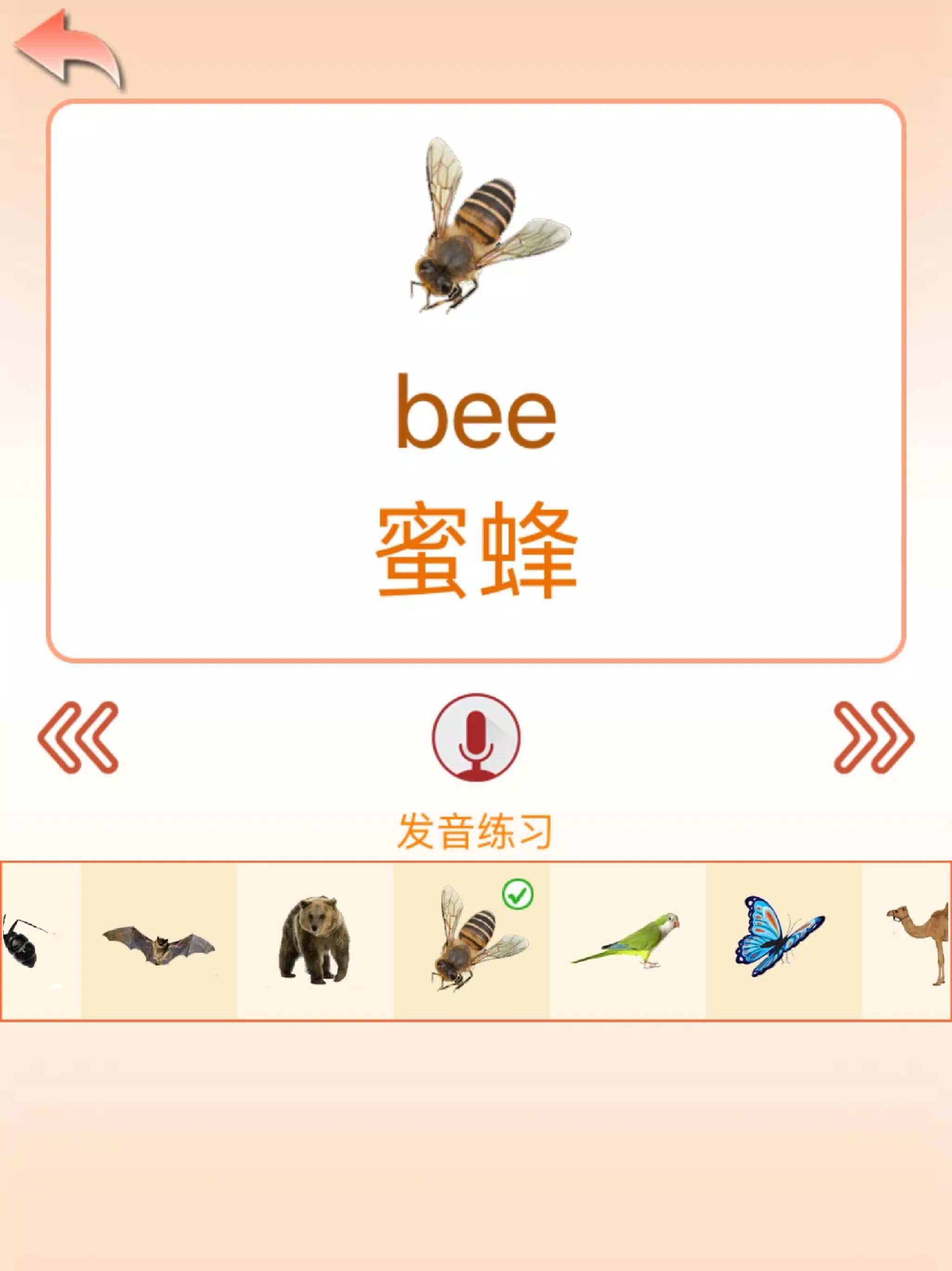 初级英语abc 启蒙英语单词学习apk Fur Android Herunterladen
