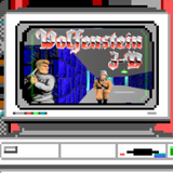 Wolfenstein 3D (DOS Player)
