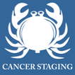 TNM Cancer Staging(8th edition)