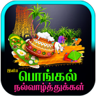Tamil Pongal Wishes icône