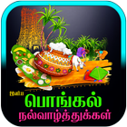 Tamil Pongal Wishes 图标