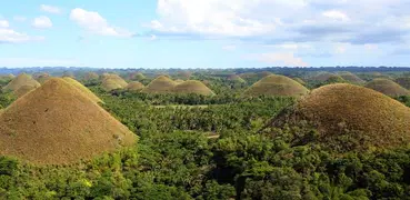 Cebuano-English Dictionary