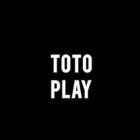 Toto play icône