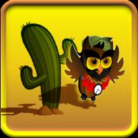 Desert Owl Affiche