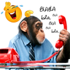 Phone Pranks APK