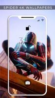 Spider HD Man Wallpaper পোস্টার