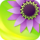 Gallery أيقونة