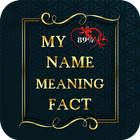 My Name Meaning - Name Facts : couple Prompts иконка