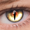 FoxEyes - Change Eye Color ikon