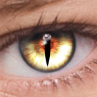 FoxEyes - Change Eye Color simgesi