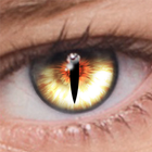 FoxEyes - Change Eye Color Zeichen