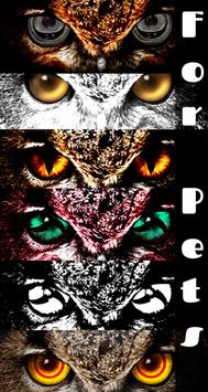 FoxEyes - Change Eye Color 截图 15