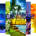 Nature Wallpaper