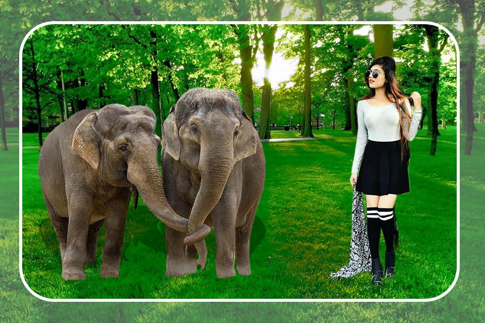 3d Wild Animal Photo Frame Editor 2019 For Android Apk 3d Wild Animal Photo Frame