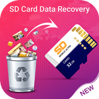 SD Card Data Recovery Zeichen