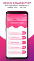 SD Card Data Recovery Affiche