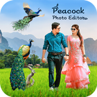 Icona Peacock Photo Editor