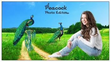 Peacock Photo Editor capture d'écran 2