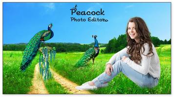 2 Schermata Peacock Photo Editor