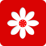 آیکون‌ Gallery