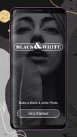 Black & White Photo Maker Pro capture d'écran 1