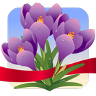 Spring Photo Frames icon