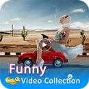 Funny Videos APK