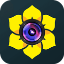 Gallery - Photo Vault APK