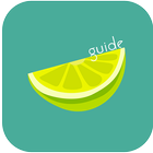 Little Music & Video Player Lime Guide icono