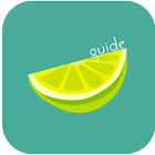 Little Music & Video Player Lime Guide icône