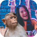 APK Monkey Selfie photo editor - Monkey wallpapers