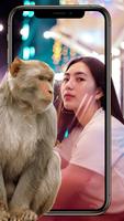 Monkey Selfie 海报